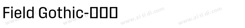 Field Gothic字体转换
